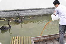 泓宝-60余种微生态制剂产品