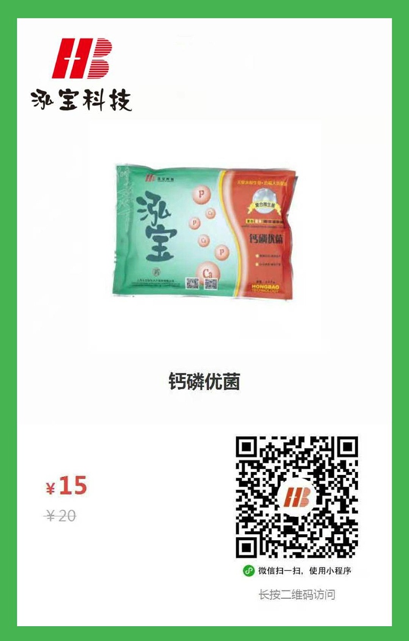 钙磷优菌