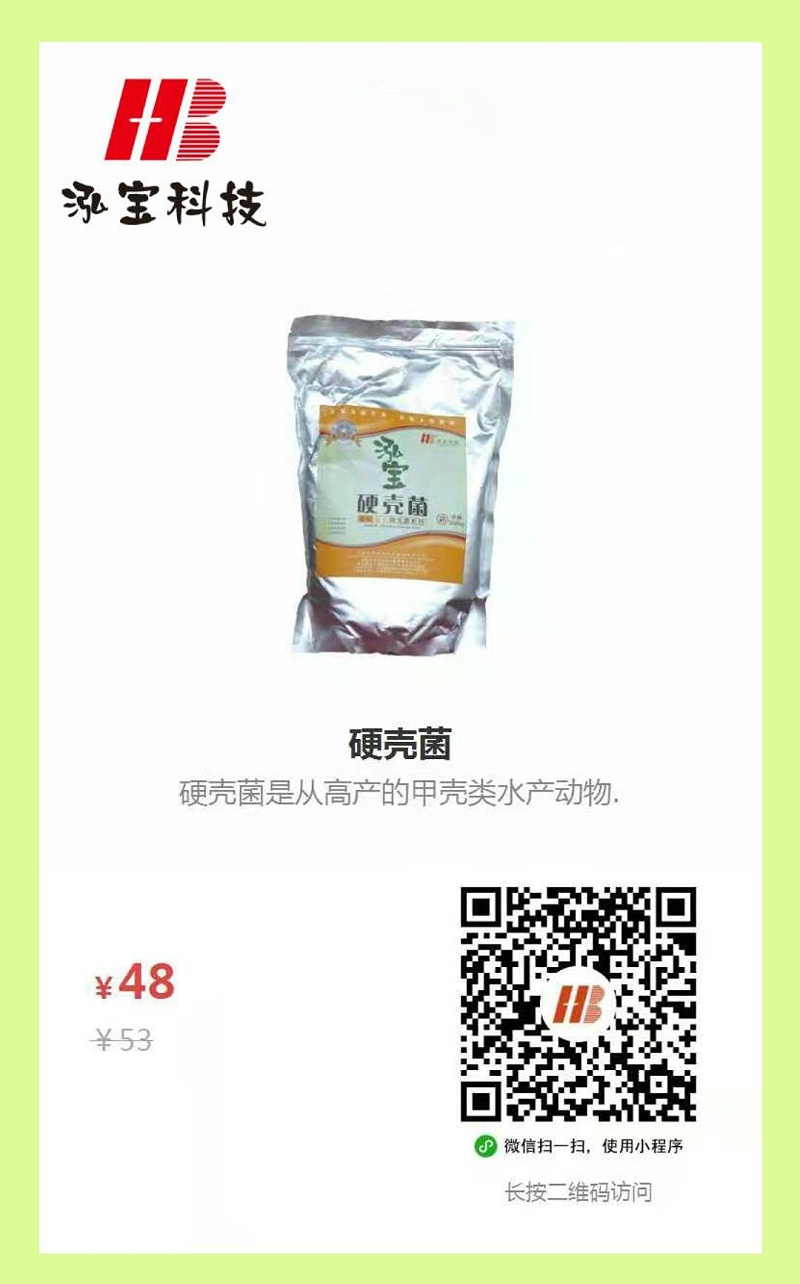 硬壳菌
