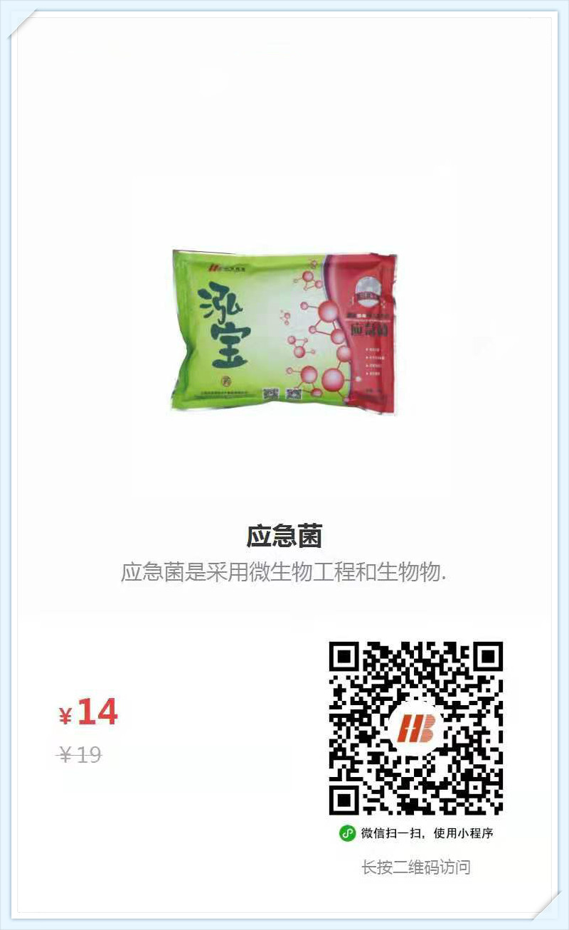 5、应急菌