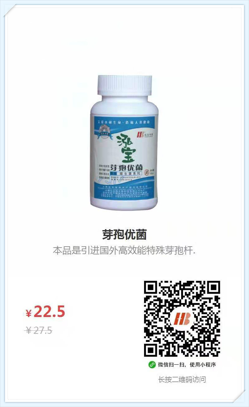 6、芽孢优菌