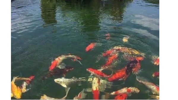 水环境综合治理的重要性