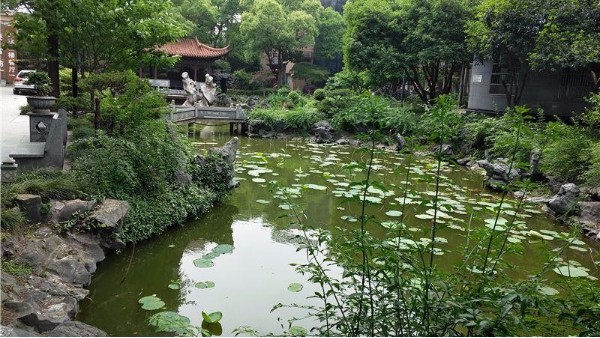 水生态系统对于地球和人类的重要性在哪里