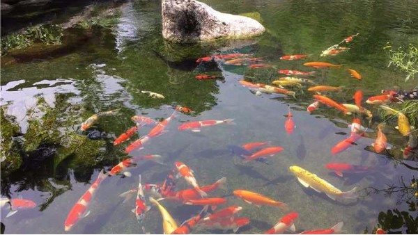 水生态环境遭到破坏有什么危害