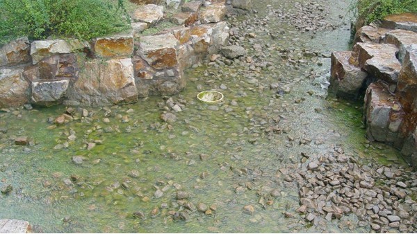 上海泓宝生态人工景观湖及河道治理生态修复技术