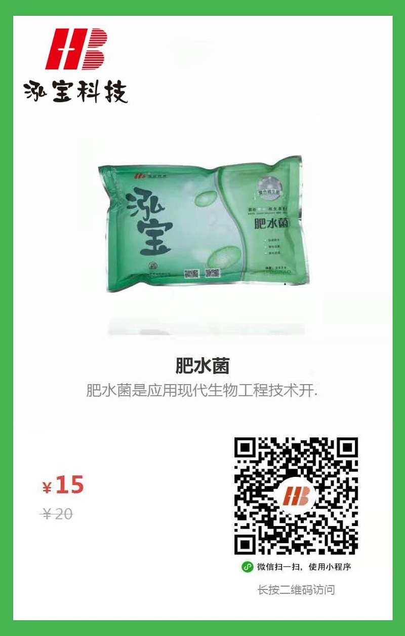肥水菌