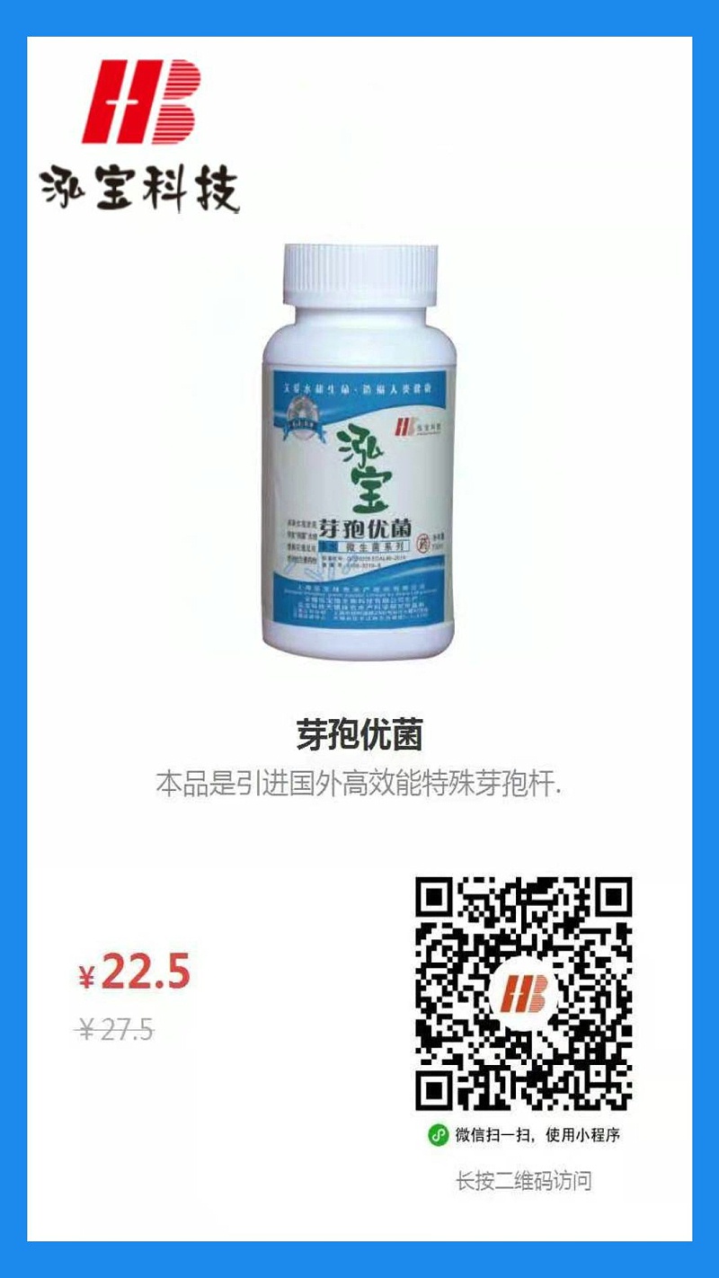 芽孢优菌