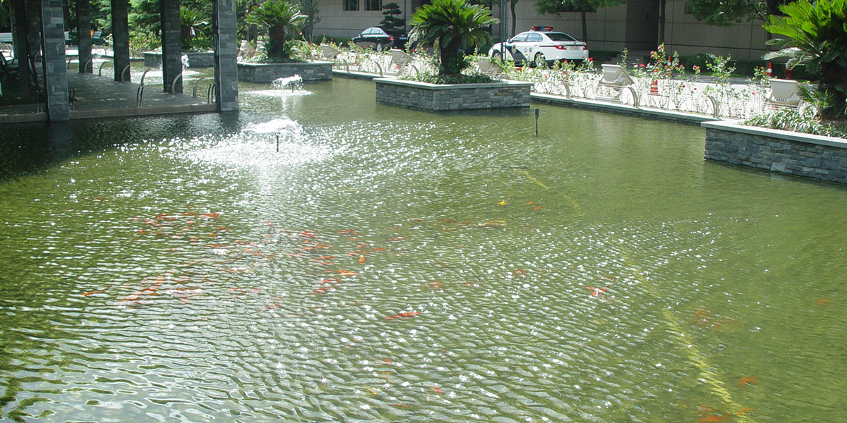 上海市公安局景观水体藻类爆发应急预案