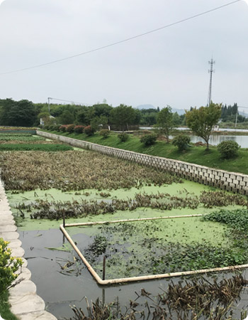 养殖尾水治理工程